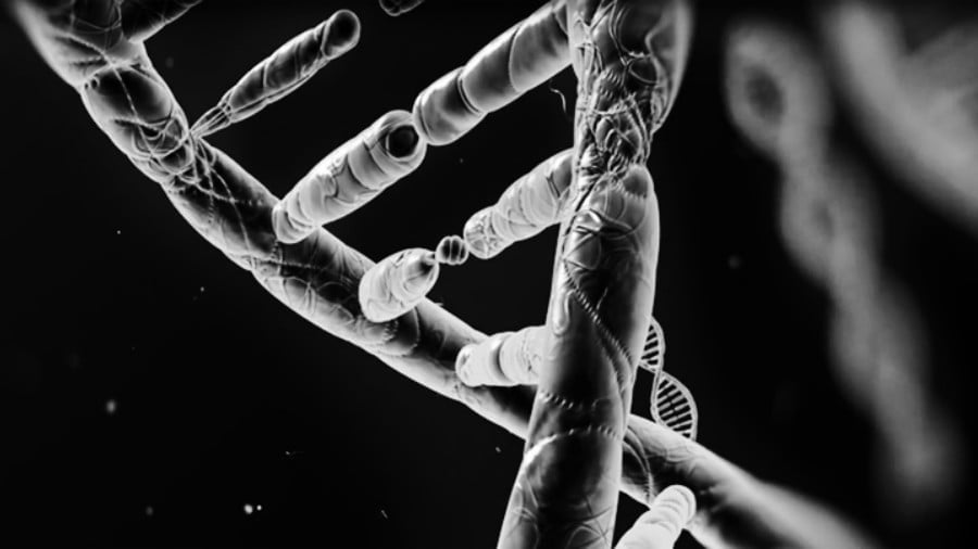 US Gov Backs Dangerous New Genetic Manipulation Approach
