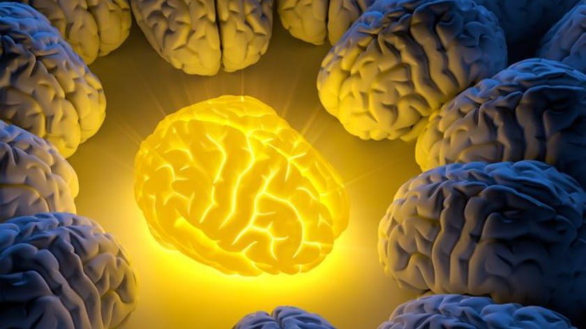 How WHOLE Turmeric Heals the Damaged Brain