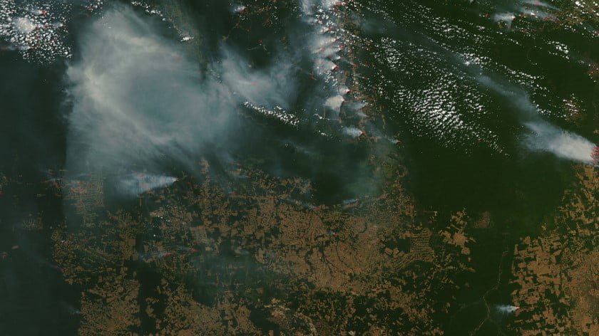 The Amazon Fires and the Dawn of Environmental Interventions