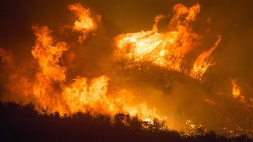 Tinderbox Earth: The Significance of the Amazon and Siberian Fires