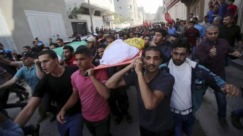 Dozens of Palestinians Killed in Israeli Strikes on Gaza