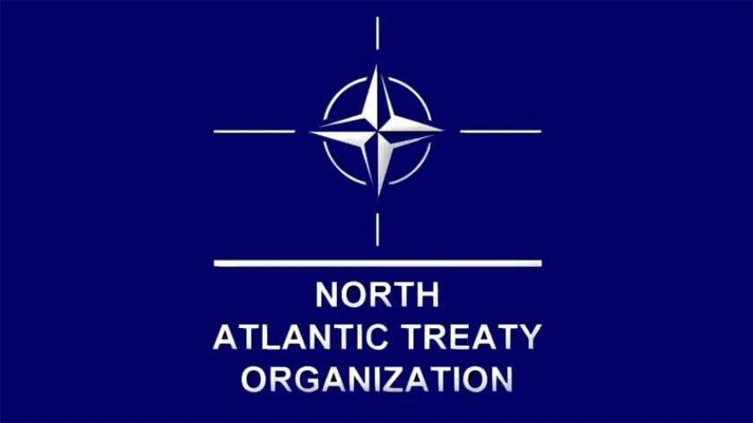 NATO Will Remain Brain Dead & Divided Until 2021 at the Earliest