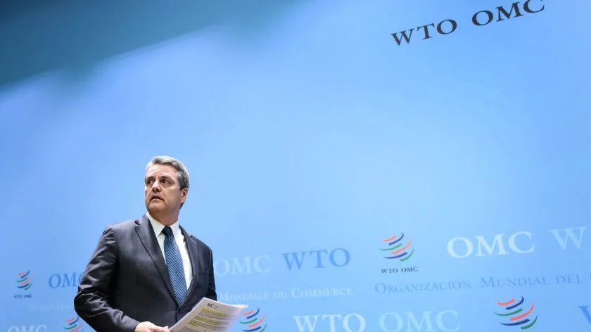 The Paralysis of the WTO