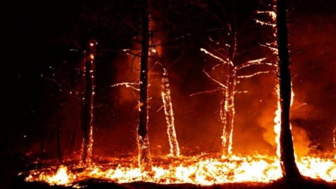 There is a Dark and Dangerous Forest Behind These Burning Trees…