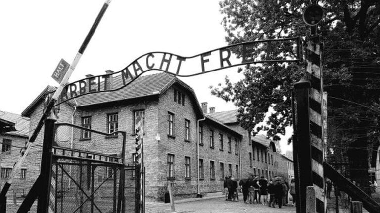 Why Not Question “The Holocaust” in Schools?