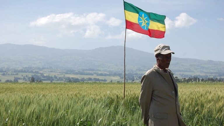 Why Are Ethiopia’s Wheat Imports Being Politicized?