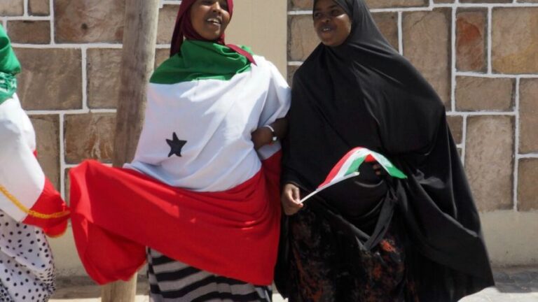How Somaliland Is Playing It’S Geostrategic Cards Better Than Most