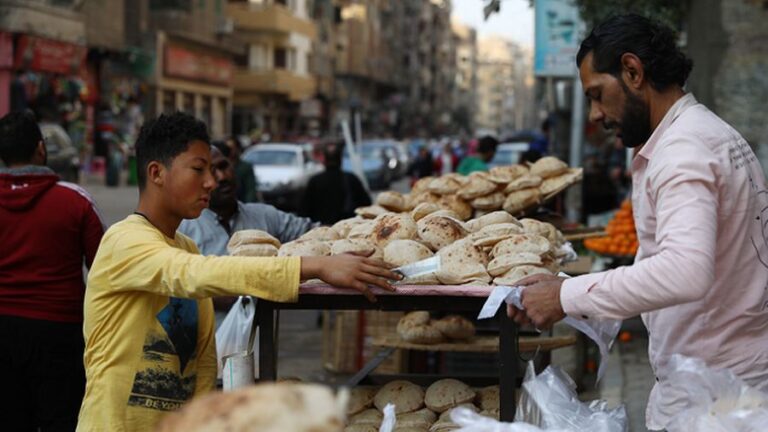 Egypt Decides to Save Itself from Hunger on its Own