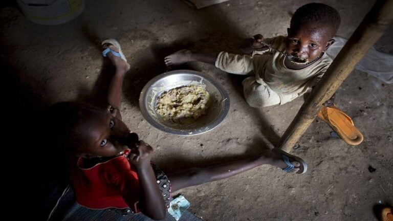 War and Food. What Does It Have to Do With Africa?