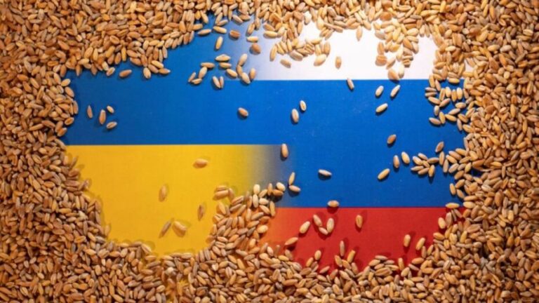 Kiev Regime Admits Grain of Truth in Global Food Crisis