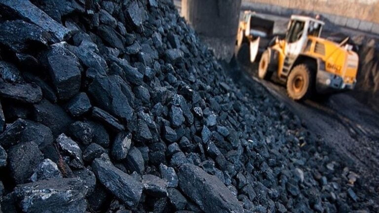 Pakistan Should Follow India’s Lead by Purchasing Russian Coal with Yuan