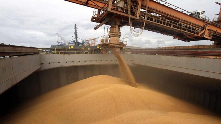 Whose Grain Is Being Shipped from Ukraine?