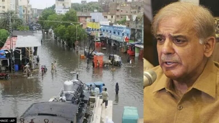 Shehbaz Sharif Politicized International Flood Aid to Pakistan Due to His Fear of Losing Power