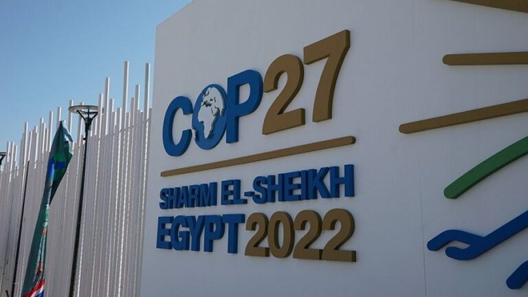 Egypt: Outcome of UN Climate Change Conference