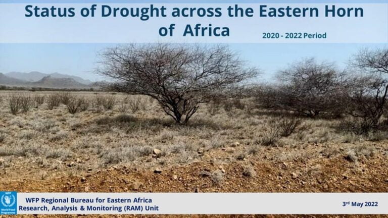 Famine in Africa: Millions on the Verge of Starvation? What are the Causes?