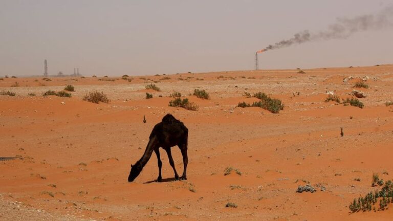 OPEC: Saudis Aren’t Afraid of US Anymore