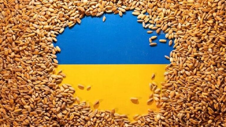 Poland’s Temporary Ban on Ukrainian Agricultural Imports Proves That the Grain Deal Is a Scam