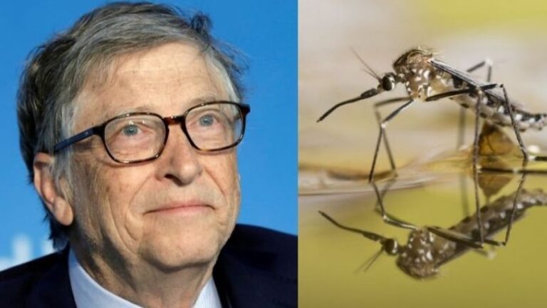Mosquitoes, Vaccines and Bill Gates