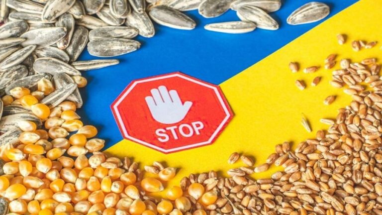 Poland & Ukraine Are Arguing Over Grain Once Again